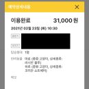 펫미업 | 하로마로 펫택시 펫미업 이용후기(feat. 고양이와 이사하기)