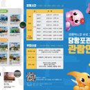 2025경남고성공룡세계엑스포 이미지
