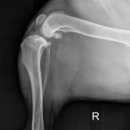 마음 동물병원 이미지