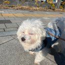 어반동물병원 이미지