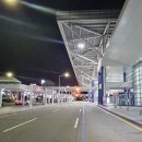 중부동물병원 「산업동물 출장진료 전문」 | 청주공항에서 광주 콜밴 스타리아 예약 운행 후기