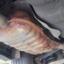 푸른카서비스 이미지