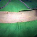 전동물병원 이미지