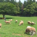 데미샘친환경농장 이미지