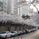 평리2동 행정복지센터 이미지
