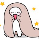 핑크할로