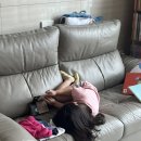 (주)소이빈스튜디오 | 51개월 다섯살 여자아이 ootd_데일리코디_(7월2주차)