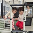 진주농장 | [진주]겨울 아이랑가기좋은 실내체험농장 다은딸기 딸기체험 찐후기