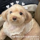 코코 불당점 이미지