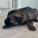 외답6길 이미지