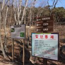 차거곡 Daum카페