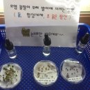 인성초등학교 이미지