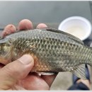 회암소류지 이미지