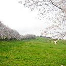 영희목장 이미지