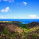 해안카서비스 이미지