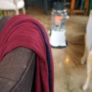 rest in jeju 이미지