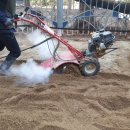 호산초등학교 병설유치원 이미지