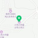 소락스위스 이미지