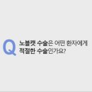 노블캣