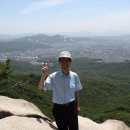 추평초 Daum카페