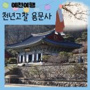 동향각 | 예천 가볼만한곳 천년고찰 용문사
