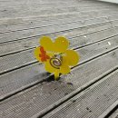 큰곰 | 김해 천문대오토캠핑장 큰곰자리 4번 후기