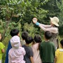 아이린어린이집 이미지