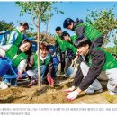 미래 세대 아이들에게 깨끗하고 건강한 지구를 선물해요 '맘스가든 프로젝트' [국제위러브유 장길자회장님] 이미지