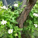 약수골 농장 이미지