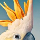 제일미용상사 이미지