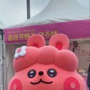 무들마리 태권도장 이미지