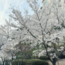 상남농장 이미지