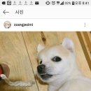 표정