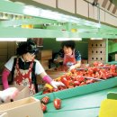 한마루농장 이미지