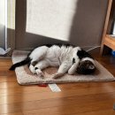 FM치과기공센터 | [30w-32w] 3주간의 기록📝