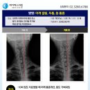 제이에스의원 이미지