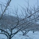 삼복농장 이미지