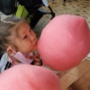 뽑고놀고 이미지