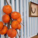 찜이야기 이미지