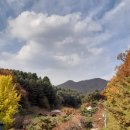 별헤는펜션 이미지