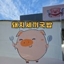 돼지세끼특수부위 | 함덕해수욕장 맛집 돼지세끼국밥 제주도 현지인들이 가는 로컬식당 후기