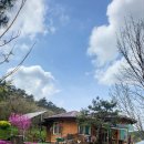 곡성 기차마을 애견동반펜션 이미지