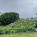 아로목장 이미지