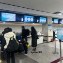 1575 | 대구 제주 비행기 대한항공 이용후기 (KE1575)