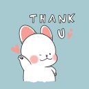 퍼피스프링 부천점 이미지