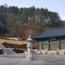 현불사 시대일보
