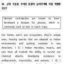 서예슬영어 네이버블로그