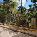 다운타운 이미지