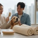 TOP순환테라피