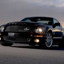 [Revell] 2008년식 Shelby GT500KR Full Detail up 이미지
